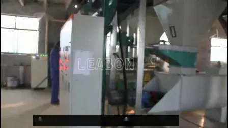 1000-2000kg/H Alfalfa Grains Feed Pellet Production Line for Cow, Horse, Camel